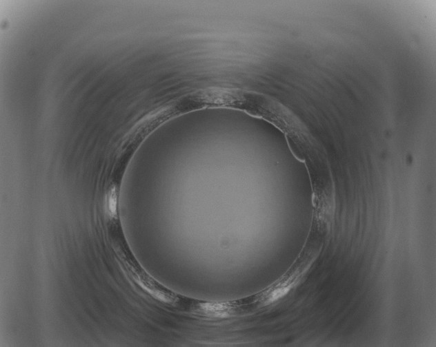 X0000081500095200701121546