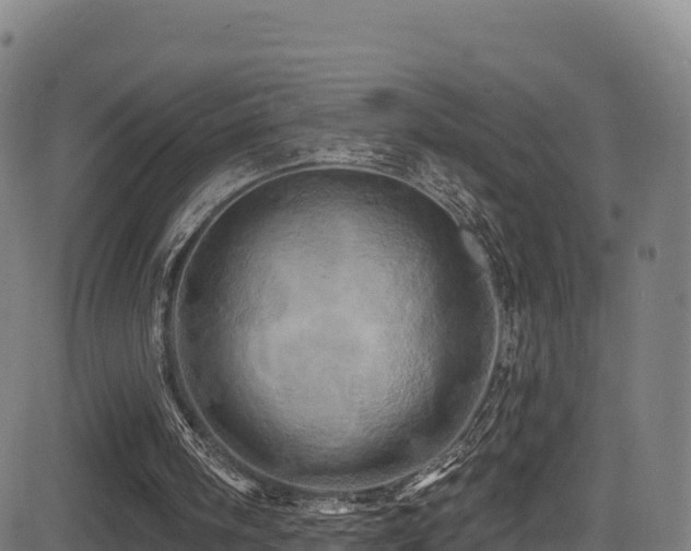 X0000081500098200701121545