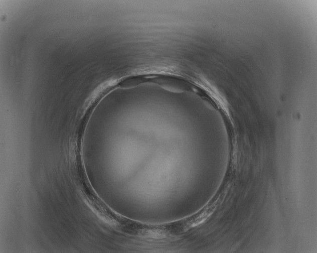 X0000081500107200701121545