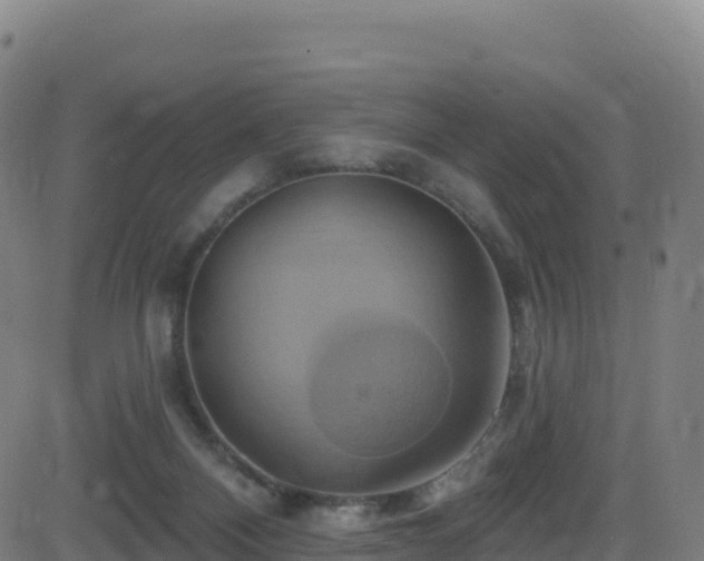 X0000081500120200701121545