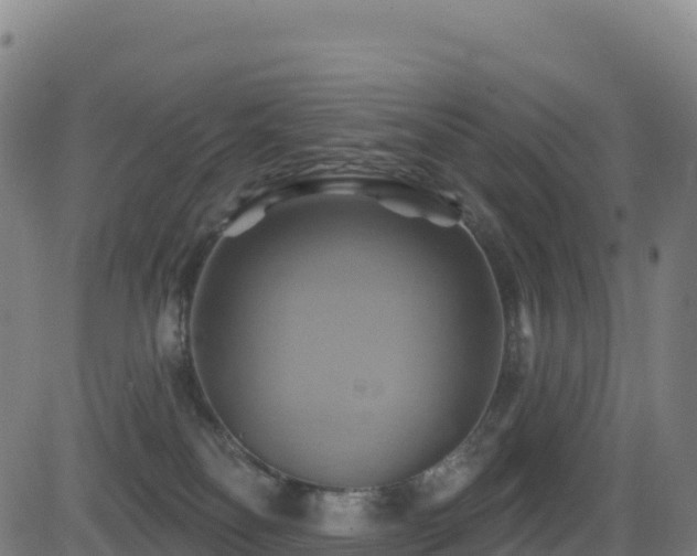 X0000081500134200701121545