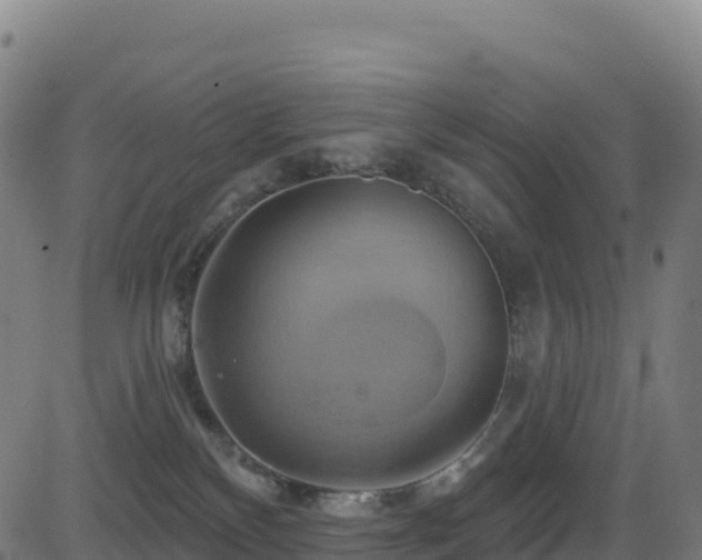 X0000081500136200701121545