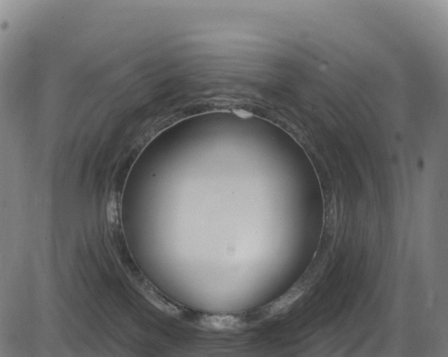 X0000081500137200701121545
