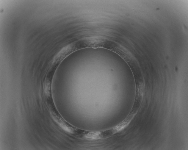 X0000081500138200701121545
