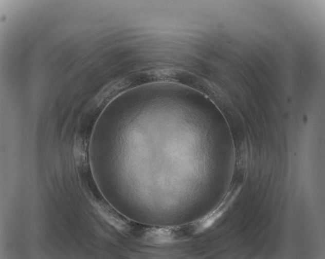 X0000081500140200701121545