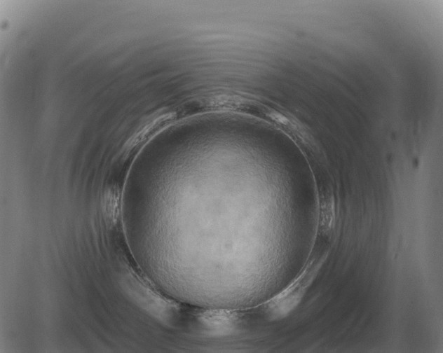 X0000081500142200701121545