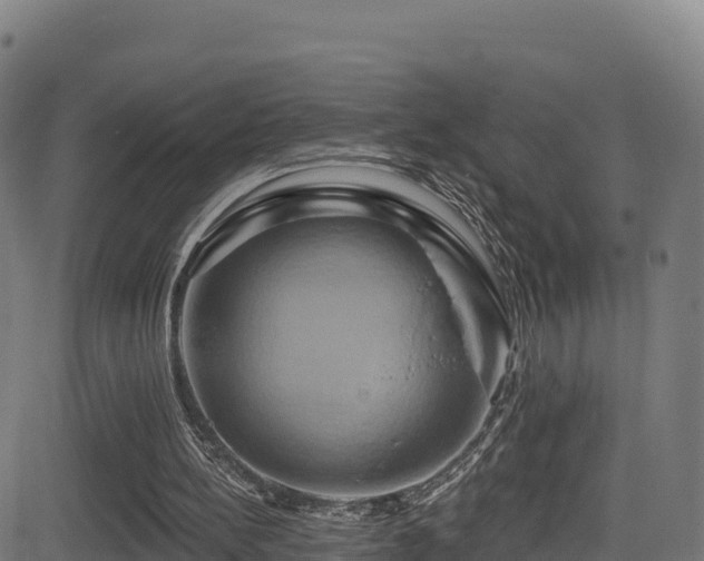 X0000081500148200701121544