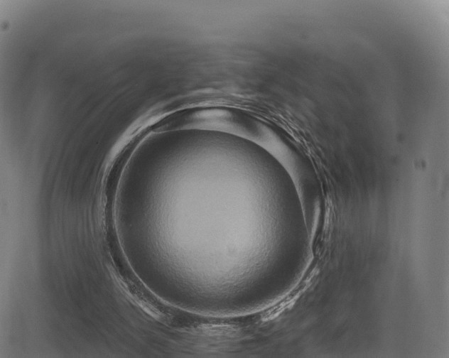 X0000081500150200701121544