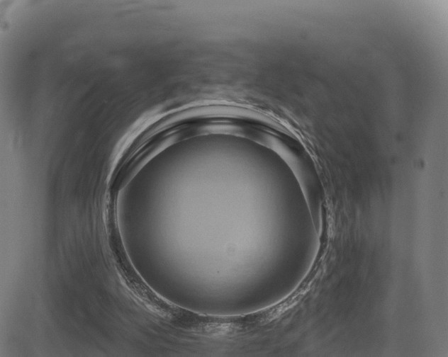 X0000081500152200701121544