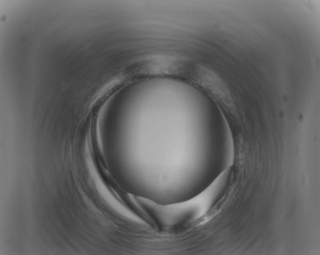 X0000081500164200701121544