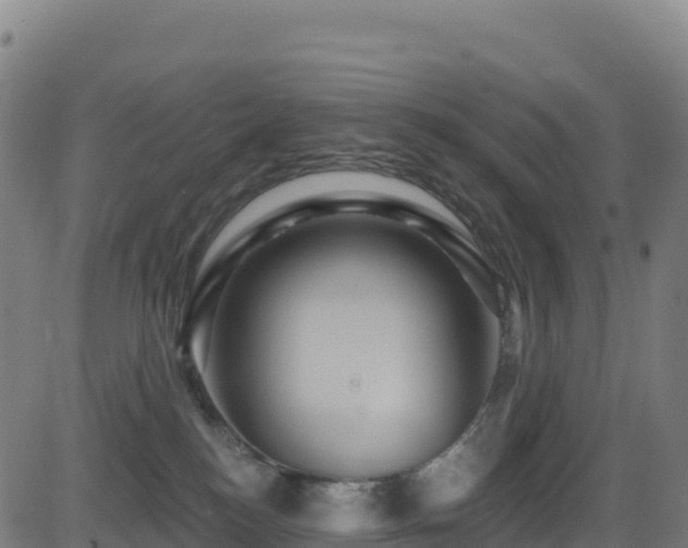 X0000081500184200701121545