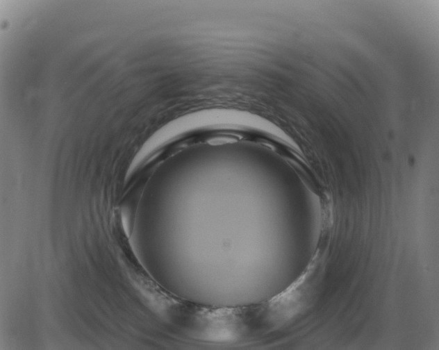 X0000081500186200701121545