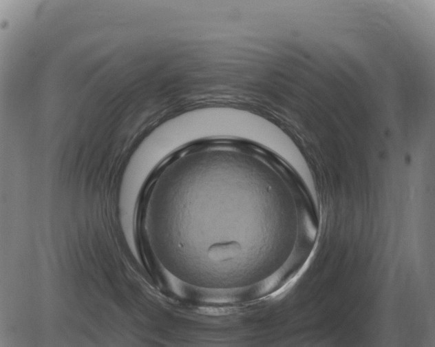X0000081500190200701121545