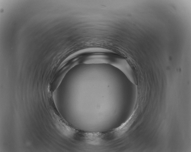 X0000081500192200701121545