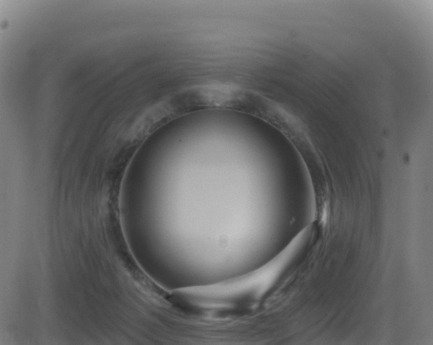 X0000081500221200701121543