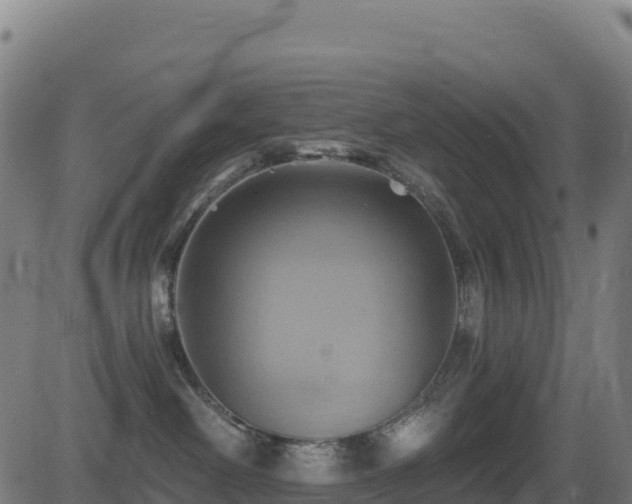 X0000081500238200701121543