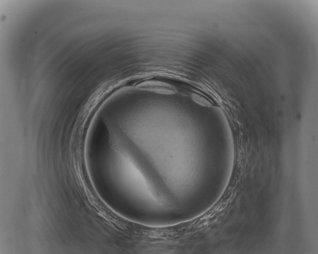X0000081500241200701121542