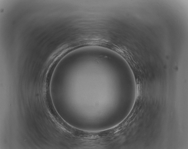 X0000081500243200701121542