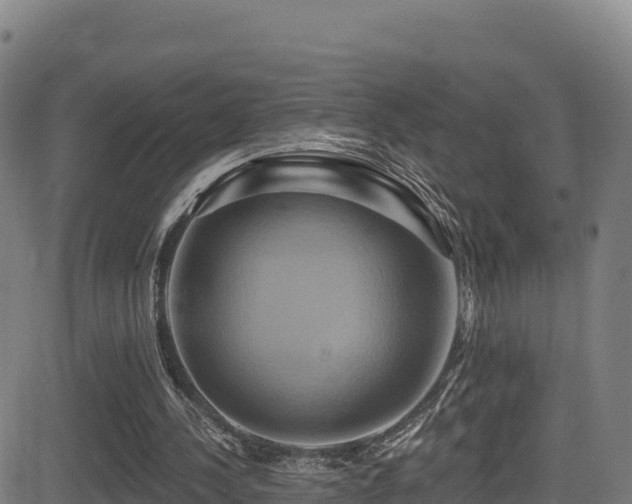 X0000081500244200701121542