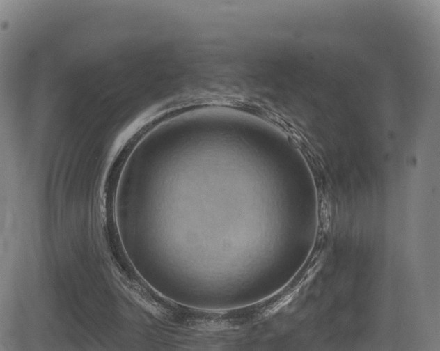 X0000081500246200701121542