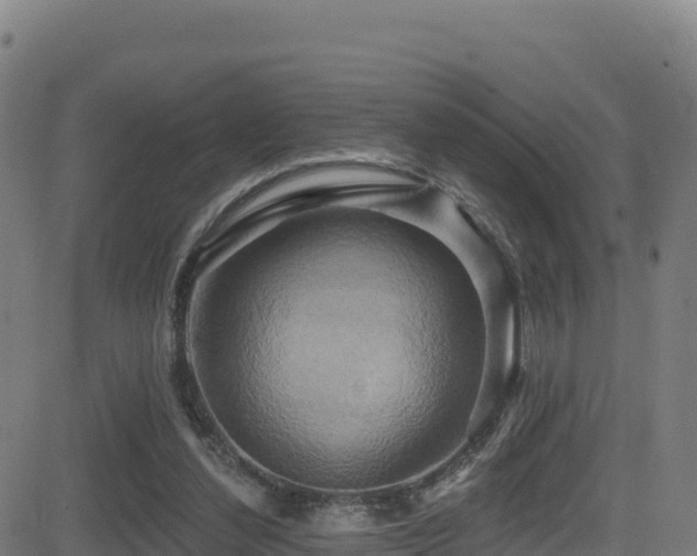 X0000081500252200701121543