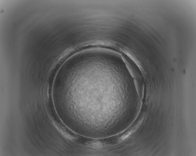 X0000081500253200701121543