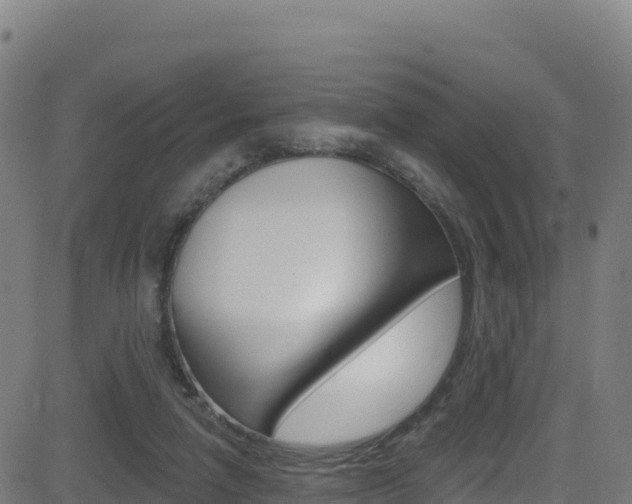 X0000081500258200701121543