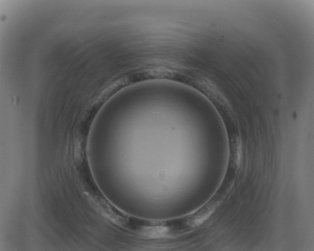 X0000081500266200701121543