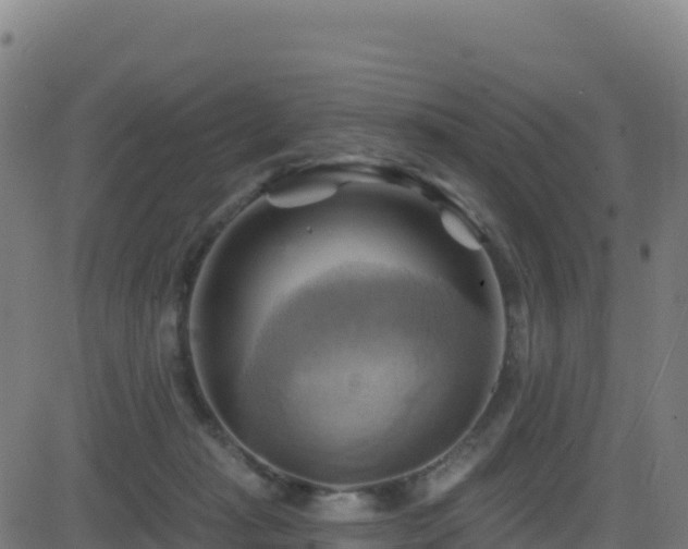 X0000081500269200701121543