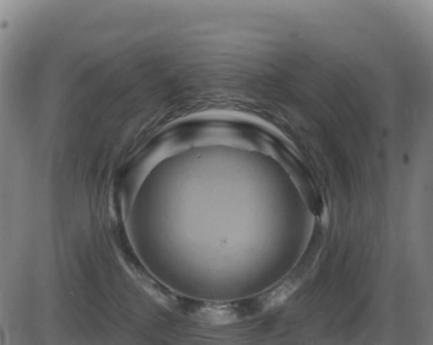 X0000081500280200701121543