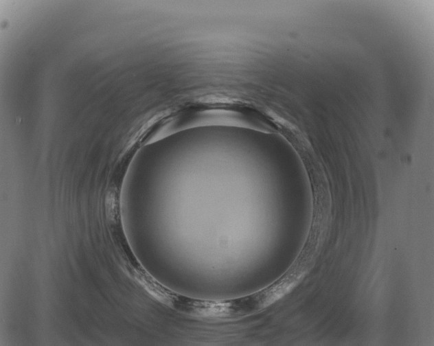 X0000081500288200701121543