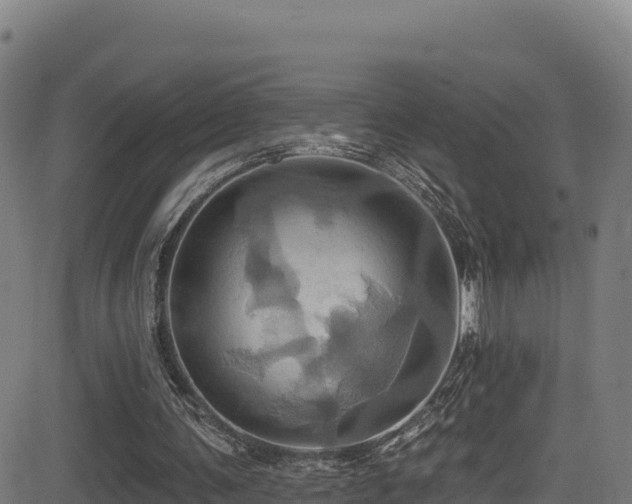 X0000081500291200701121542
