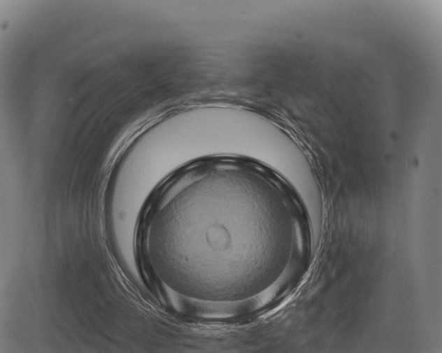 X0000081500293200701121542
