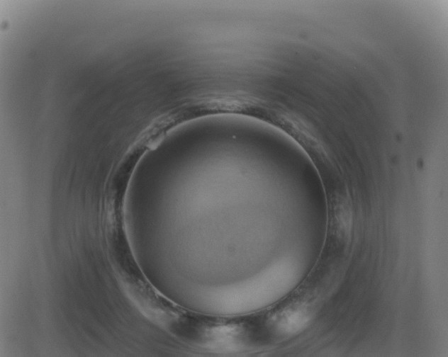 X0000081500312200701121542