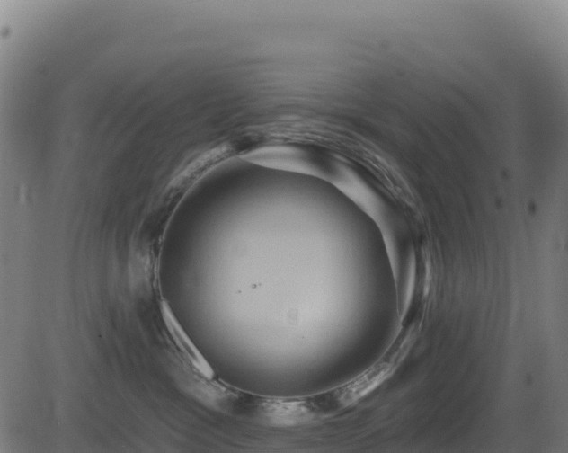 X0000081500333200701121542
