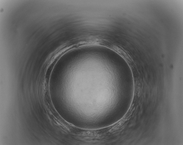 X0000081500338200701121541