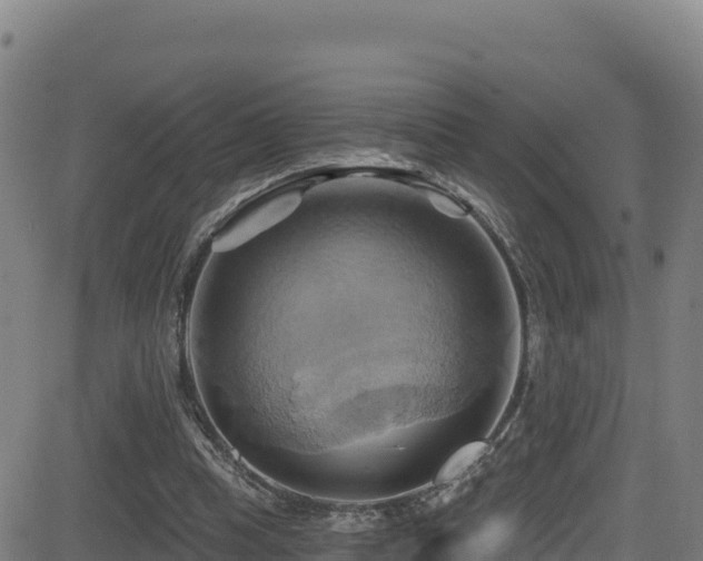 X0000081500345200701121541