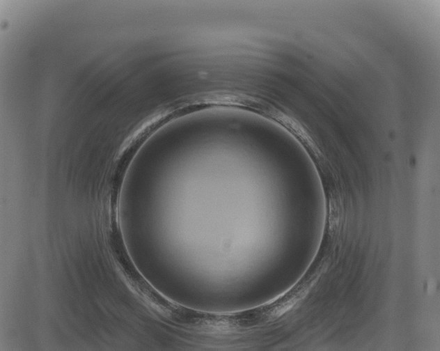 X0000081500349200701121541