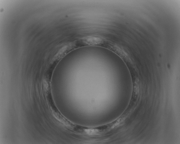 X0000081500371200701121541