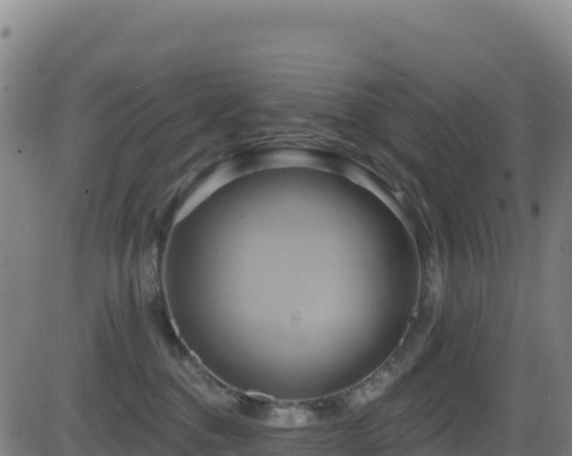 X0000081500376200701121541
