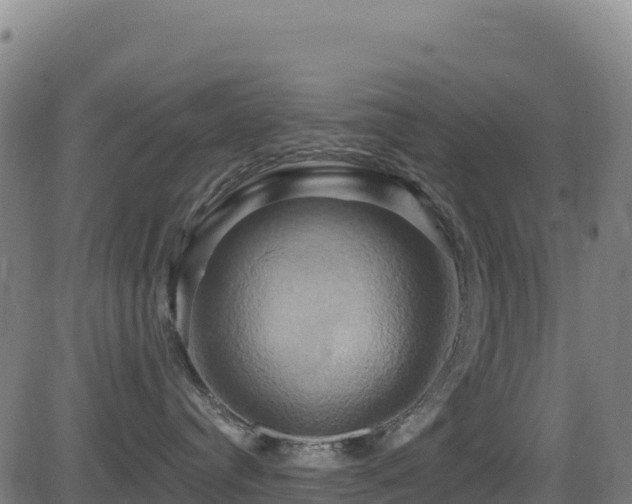 X0000081500384200701121542