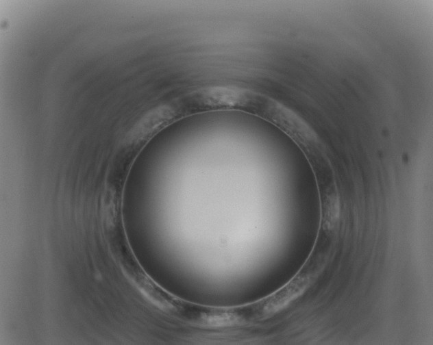 X0000081500414200701121540