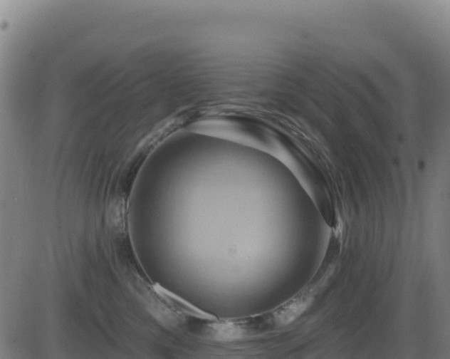X0000081500425200701121540