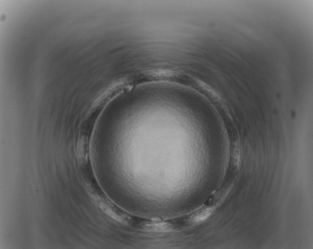 X0000081500428200701121540