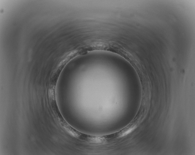 X0000081500432200701121540