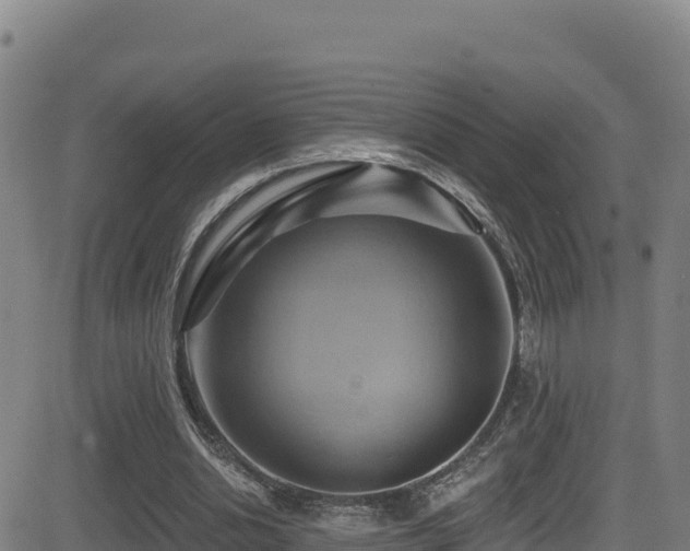 X0000081500438200701121539