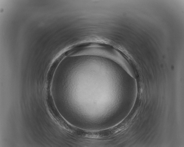 X0000081500440200701121539