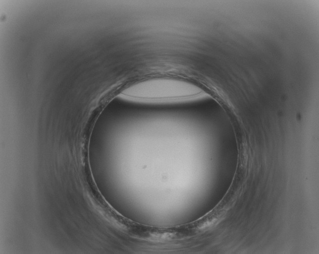 X0000081500450200701121539