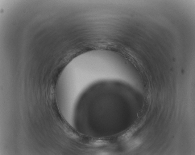 X0000081500467200701121540