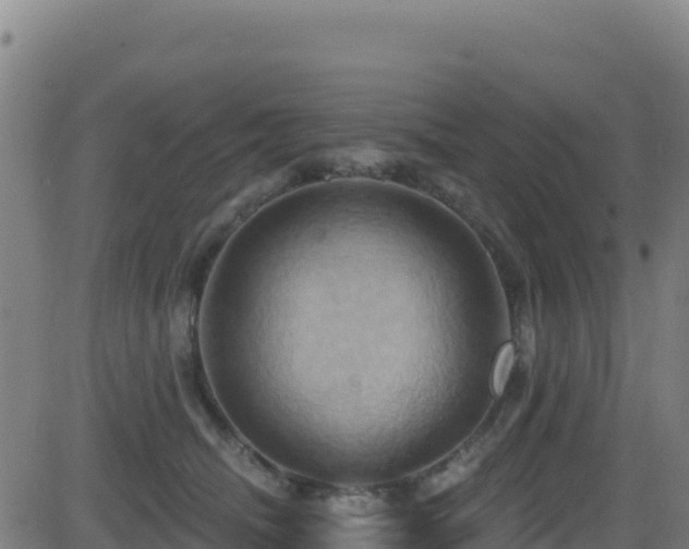 X0000081500468200701121540
